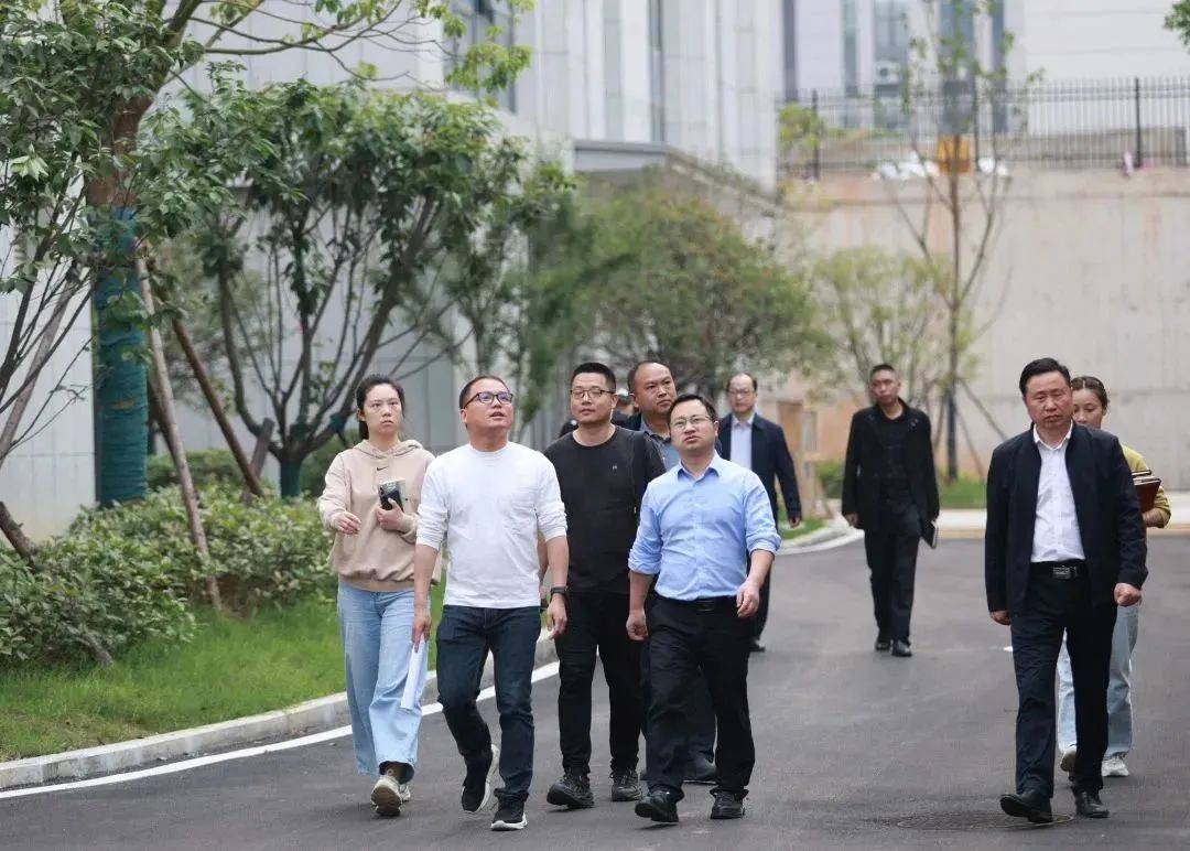 江夏区工商联莅临扬飞集团指导调研